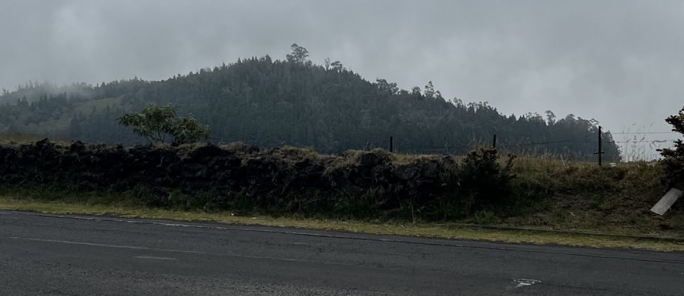 Terrain de 574 m² à LA PLAINE-DES-CAFRES (97418)