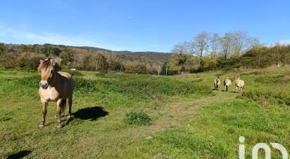 Terrain de 9 136 m² à Saint-Gaudens (31800)