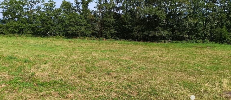 Terrain de 1 001 m² à Jussac (15250)