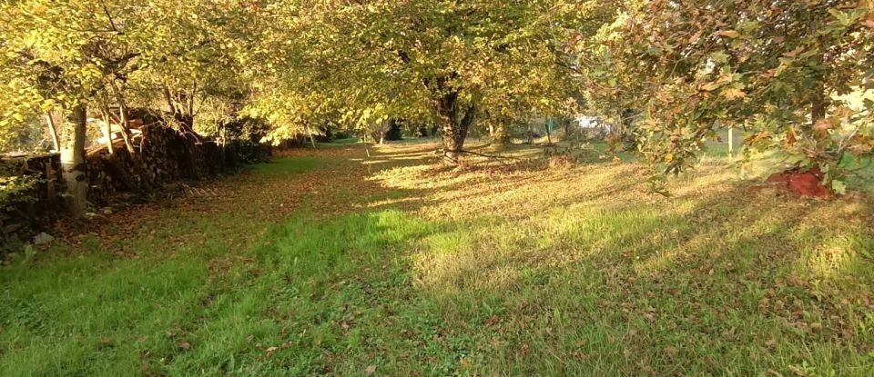 Terrain Loisirs de 1 600 m² à Cenon-sur-Vienne (86530)