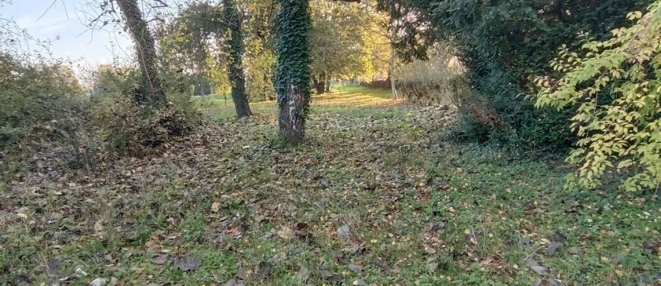 Terrain Loisirs de 1 600 m² à Cenon-sur-Vienne (86530)