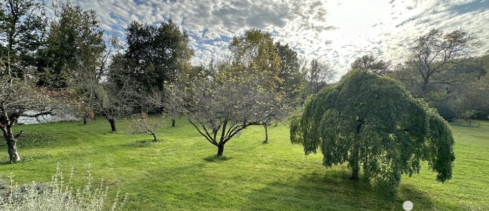 Maison de campagne 7 pièces de 144 m² à Saint-Cirq (82300)