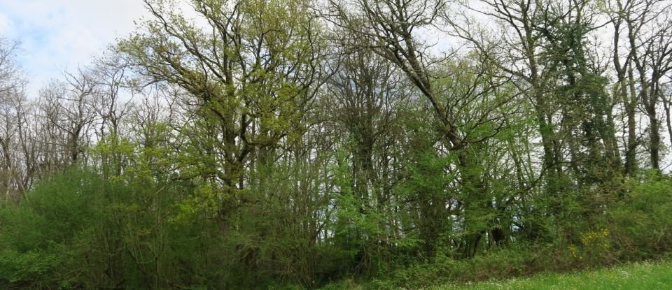 Terrain de 9 665 m² à La Chapelle-Moulière (86210)