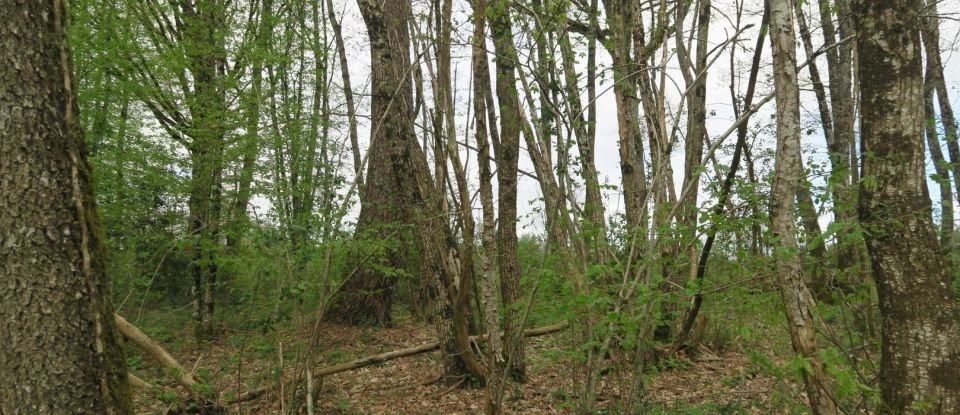 Terrain de 9 665 m² à La Chapelle-Moulière (86210)