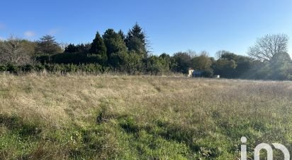 Terrain de 2 723 m² à Saint-Denis (11310)