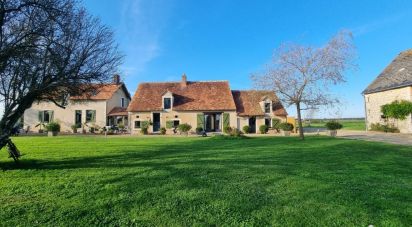 Maison 11 pièces de 369 m² à Thenay (36800)