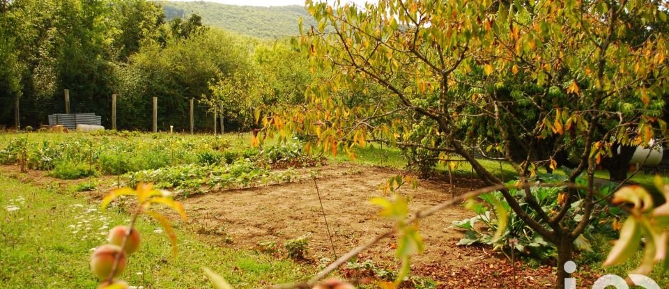 Maison de campagne 4 pièces de 95 m² à Carla-de-Roquefort (09300)