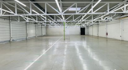 Local d'activités de 1 039 m² à Grigny (91350)