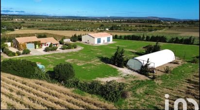 Domaine 6 pièces de 122 m² à Caves (11510)