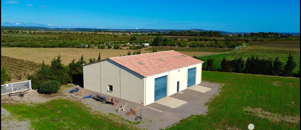 Domaine 6 pièces de 122 m² à Caves (11510)