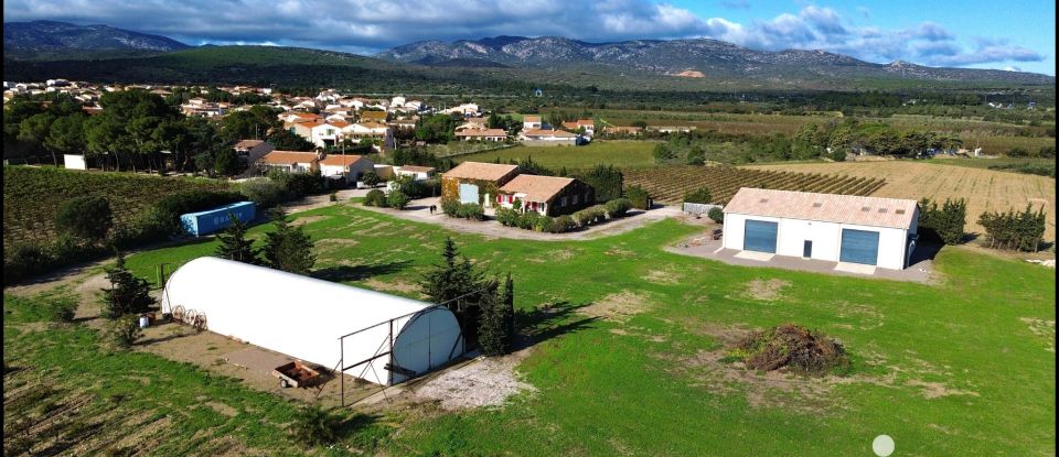 Domaine 6 pièces de 122 m² à Caves (11510)