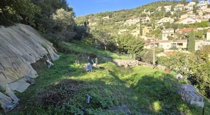 Terrain de 439 m² à Hyères (83400)