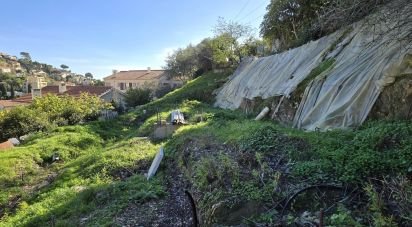 Terrain de 439 m² à Hyères (83400)