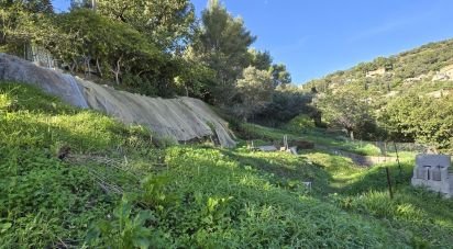 Terrain de 439 m² à Hyères (83400)