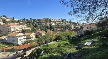 Terrain de 439 m² à Hyères (83400)