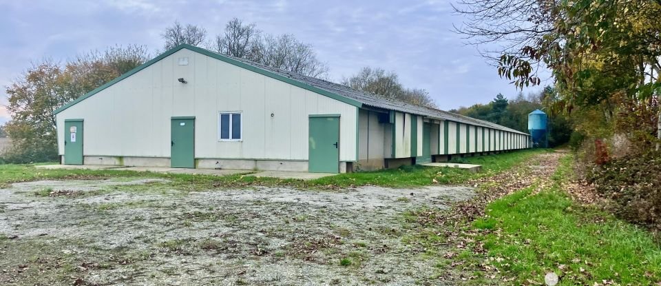 Longère 7 pièces de 169 m² à Saint-Aignan (56480)