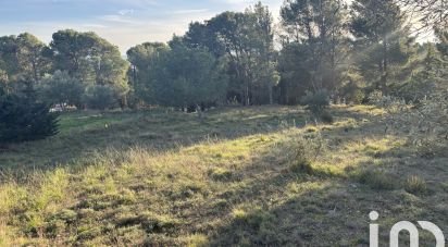 Terrain de 971 m² à Lézignan-Corbières (11200)