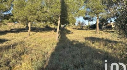 Terrain de 971 m² à Lézignan-Corbières (11200)