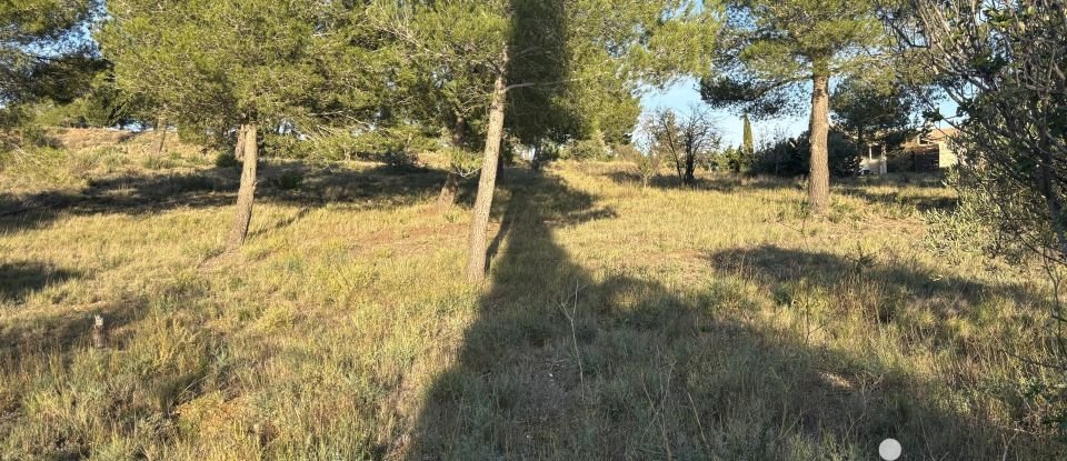 Terrain de 971 m² à Lézignan-Corbières (11200)