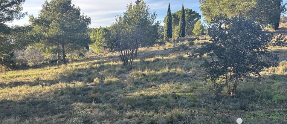 Terrain de 1 086 m² à Lézignan-Corbières (11200)