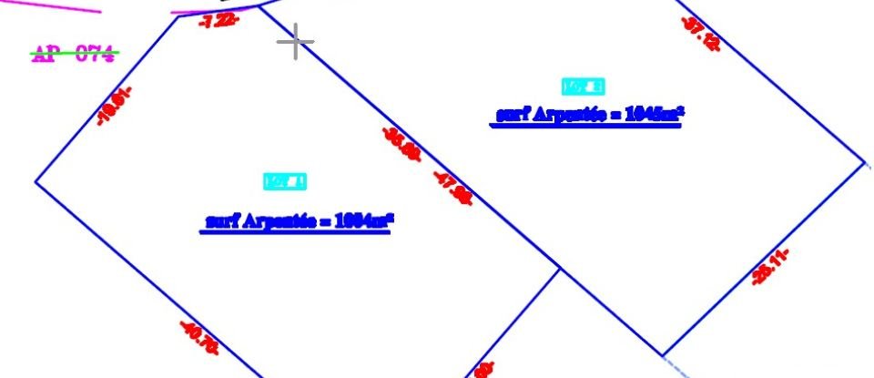 Terrain de 1 000 m² à La Plaine-des-Palmistes (97431)