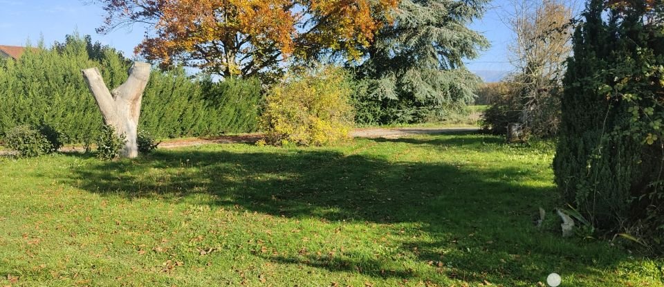 Terrain de 2 565 m² à Feigères (74160)