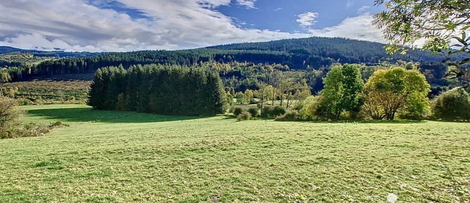 Ferme 6 pièces de 130 m² à Saint-Amant-Roche-Savine (63890)