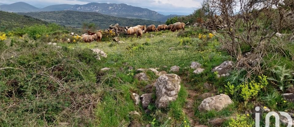 Terrain agricole de 1 500 000 m² à Péret (34800)