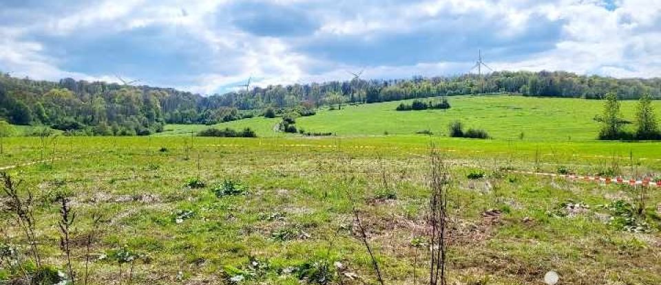 Terrain de 553 m² à Saint-Pancré (54730)