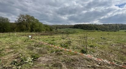 Terrain de 599 m² à Saint-Pancré (54730)