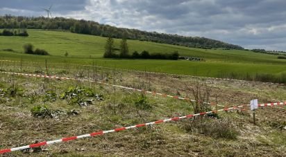 Terrain de 599 m² à Saint-Pancré (54730)