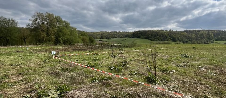 Terrain de 589 m² à Saint-Pancré (54730)