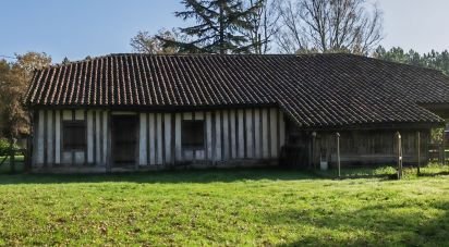 Country house 8 rooms of 170 m² in Luxey (40430)