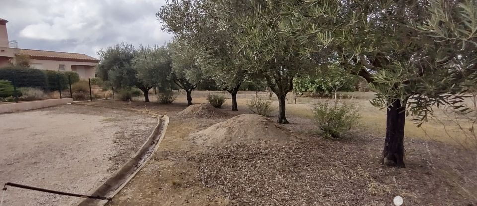 Terrain de 2 183 m² à Salles-d'Aude (11110)