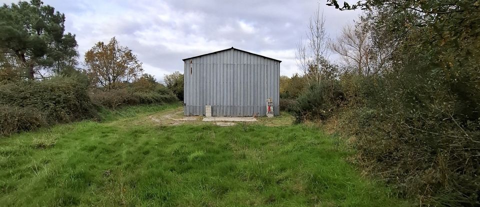 Terrain agricole de 2 706 m² à - (44580)