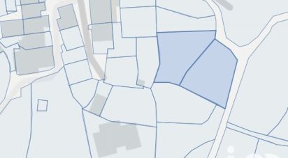 Terrain de 562 m² à Santo-Pietro-di-Tenda (20246)