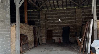 Ferme 5 pièces de 259 m² à Bérat (31370)