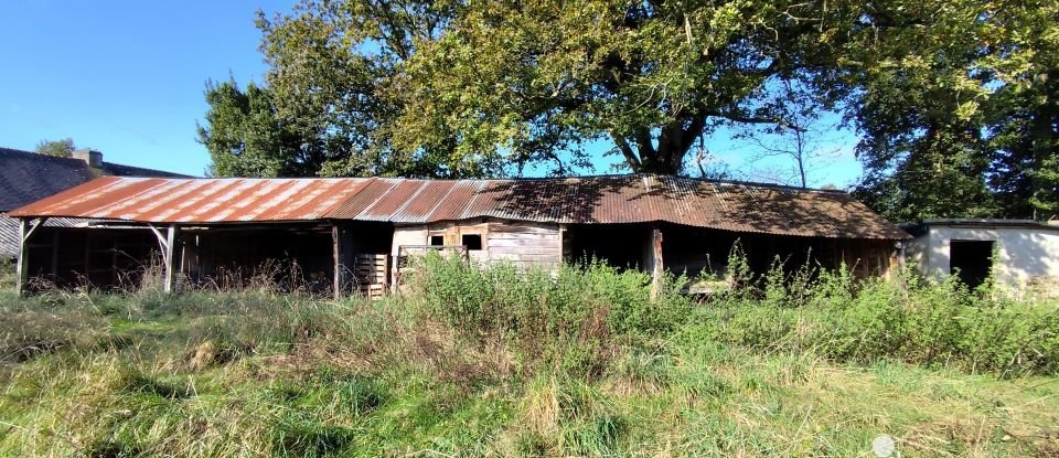 Maison de campagne 2 pièces de 50 m² à Saint-Perreux (56350)