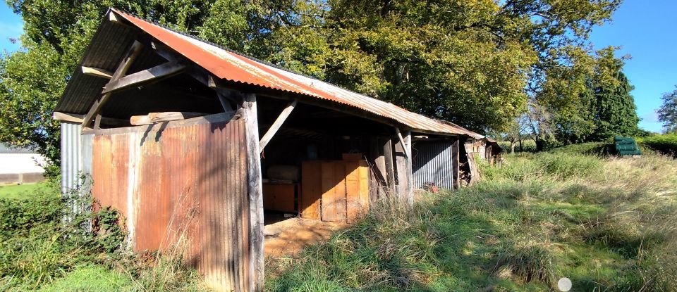 Maison de campagne 2 pièces de 50 m² à Saint-Perreux (56350)