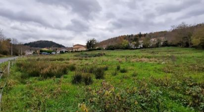 Terrain de 3 773 m² à Saint-Étienne-Lardeyrol (43260)