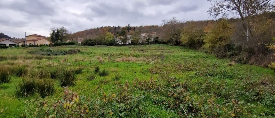 Terrain de 3 773 m² à Saint-Étienne-Lardeyrol (43260)