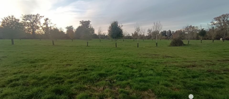 Ferme 3 pièces de 80 m² à Perquie (40190)