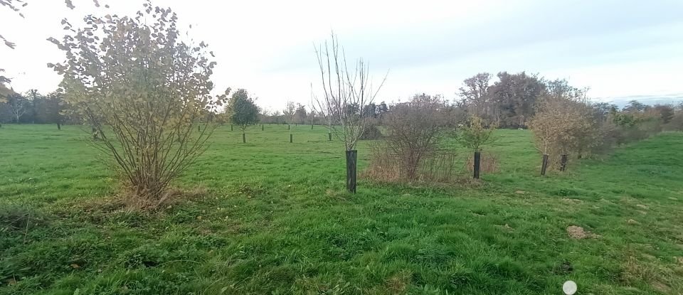 Ferme 3 pièces de 80 m² à Perquie (40190)