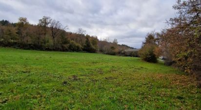 Terrain de 5 497 m² à Saint-Étienne-Lardeyrol (43260)