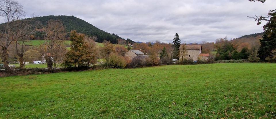 Terrain de 5 497 m² à Saint-Étienne-Lardeyrol (43260)