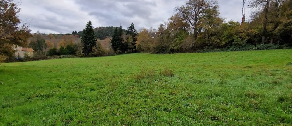 Terrain de 5 497 m² à Saint-Étienne-Lardeyrol (43260)