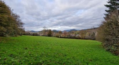 Terrain de 5 497 m² à Saint-Étienne-Lardeyrol (43260)