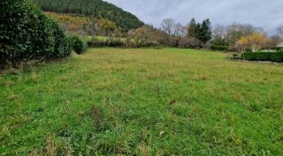 Terrain de 3 198 m² à Saint-Étienne-Lardeyrol (43260)