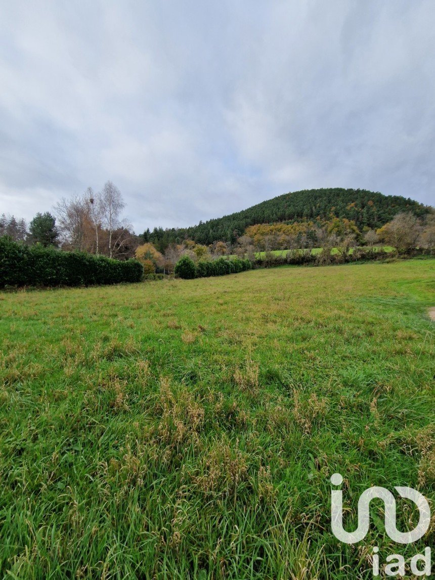 Land of 3,198 m² in Saint-Étienne-Lardeyrol (43260)