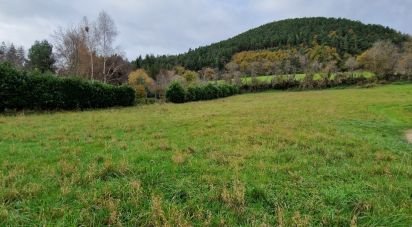 Terrain de 3 198 m² à Saint-Étienne-Lardeyrol (43260)